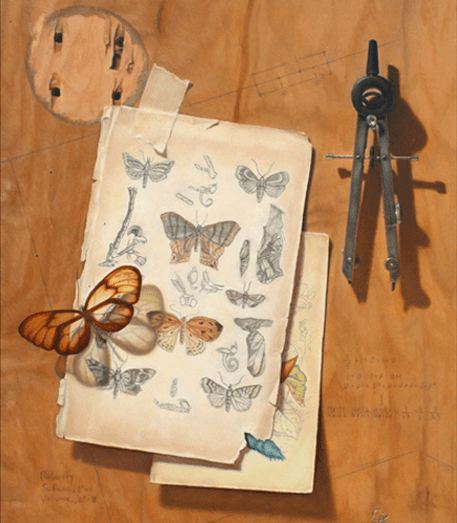 A painting of butterflies and an old book